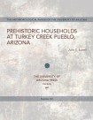 Prehistoric Households at Turkey Creek Pueblo, Arizona