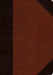 ESV Large Print Wide Margin Bible