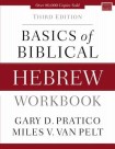 Basics of Biblical Hebrew Workbook