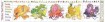 Rainbow Food Activity Chart