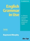 English Grammar in Use Without Answers