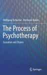 Process of Psychotherapy