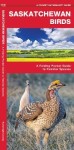 Saskatchewan Birds