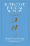 Effective Judicial Review