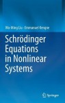Schrodinger Equations in Nonlinear Systems