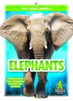 Elephants