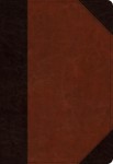 ESV Student Study Bible