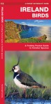 Ireland Birds, 2nd Ed