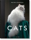 Walter Chandoha. Cats. Photographs 1942–2018
