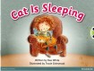 Bug Club Pink A Cat is Sleeping 6-pack
