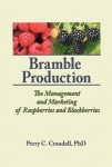 Bramble Production