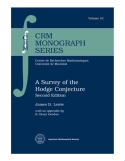 Survey of the Hodge Conjecture