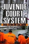 Juvenile Court System