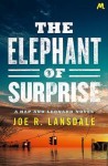 Elephant of Surprise