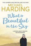 What is Beautiful in the Sky