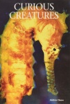 Curious Creatures
