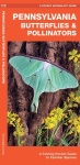 Pennsylvania Butterflies & Pollinators