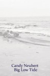 Big Low Tide