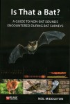 Is That a Bat?