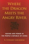 Where the Dragon Meets the Angry River