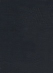 Patristic Greek Lexicon