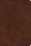ESV Large Print Bible