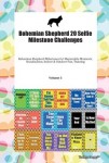 Bohemian Shepherd 20 Selfie Milestone Challenges Bohemian Shepherd Milestones for Memorable Moments, Socialization, Indoor & Outdoor Fun, Training Vol