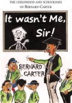 It Wasn't Me Sir!