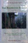 Redwood Forest