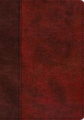 ESV Single Column Journaling Bible, Large Print