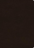 ESV Single Column Journaling Bible, Large Print