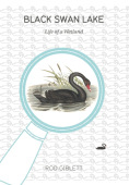 Black Swan Lake