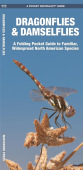 Dragonflies & Damselflies