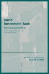 David Rosemann-Taub: Poems and Commentaries