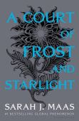Court of Frost and Starlight