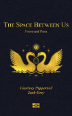Space Between Us