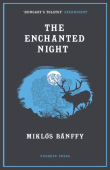 Enchanted Night
