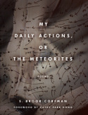 My Daily Actions, or the Meteorites