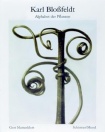 Karl Blossfeldt: Alphabet of Plants