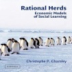Rational Herds