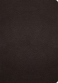 ESV Study Bible