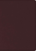 ESV Study Bible, Large Print