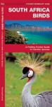South Africa Birds