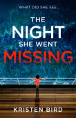 The Night She Went Missing