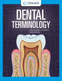 Dental Terminology