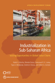 Industrialization in Sub-Saharan Africa