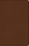 ESV Large Print Value Thinline Bible