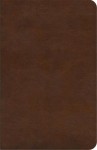ESV Concise Study Bible™