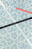 Art As Information Ecology