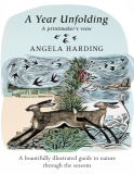 Year Unfolding